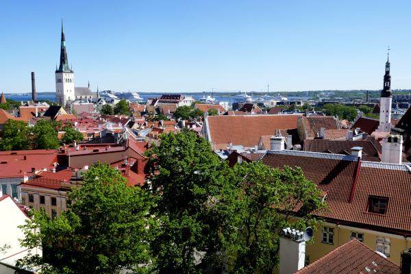 Fotos de Tallin en Estonia, mirador Patkuli