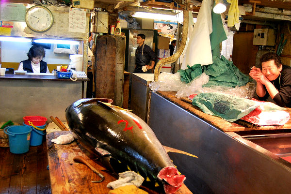 lonja del pescado de tsukiji