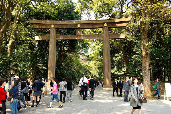Fotos de Tokio, mucha gente ante el torii del Meiji Jingu