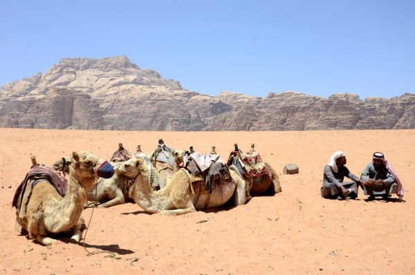 Fotos de Wadi Rum, Jordania - camellos y beduinos descansando