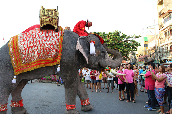 Fotos de viajes a Tailandia con niños y NaaiTravels, elefante y reverencia