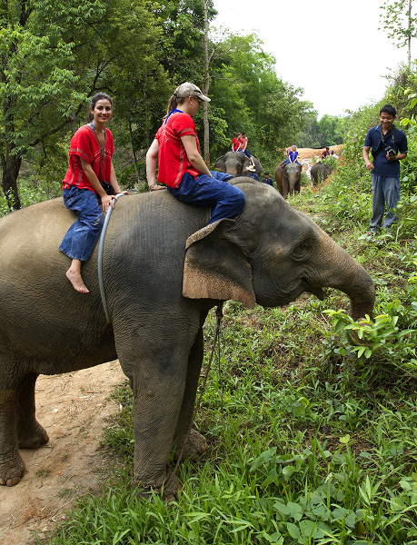 Fotos de viajes a Tailandia con niños y NaaiTravels, elefantes vertical