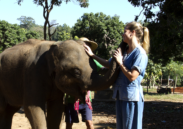Fotos de viajes a Tailandia con niños y NaaiTravels, elefantes