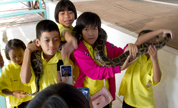 Fotos de viajes a Tailandia con niños y NaaiTravels, niños y serpientes
