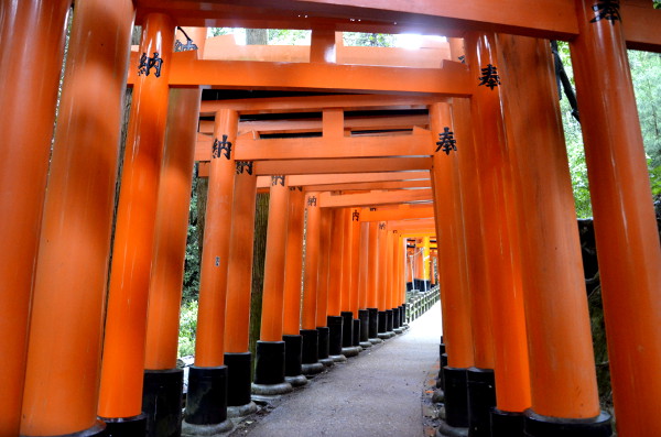Fotos del Fushimi Inari de Kioto, los famosos torii rojos