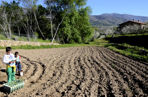 Fotos del Valle del Jerte, Agroturismo El Vallejo Teo y Oriol con la semillas