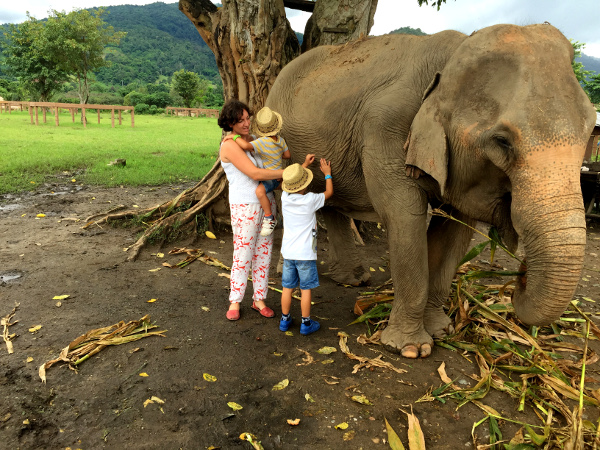 Fotos del viaje a Tailandia con niños, Vero, Teo, Oriol y elefantes
