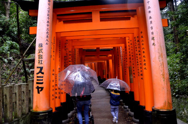 fotos de japon, lluvia en el fushimi inari