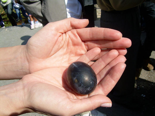 Huevo negro en Hakone