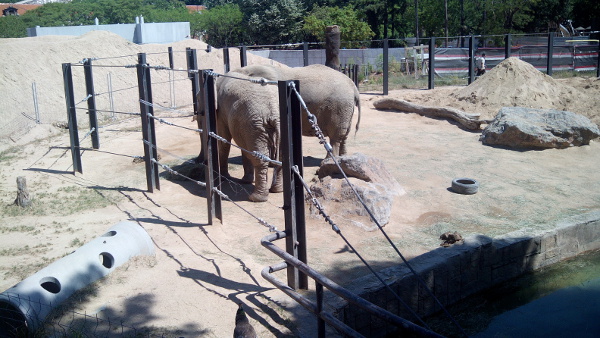 Fotos de Barcelona con niños, zoo elefantes