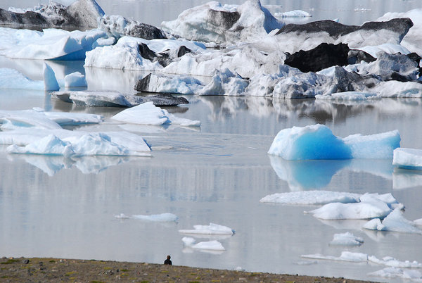 La laguna glaciar Fjallsárlón en Islandia
