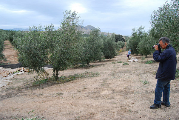 Paco Elvira fotografiando los olivos en la provincia de Jaén