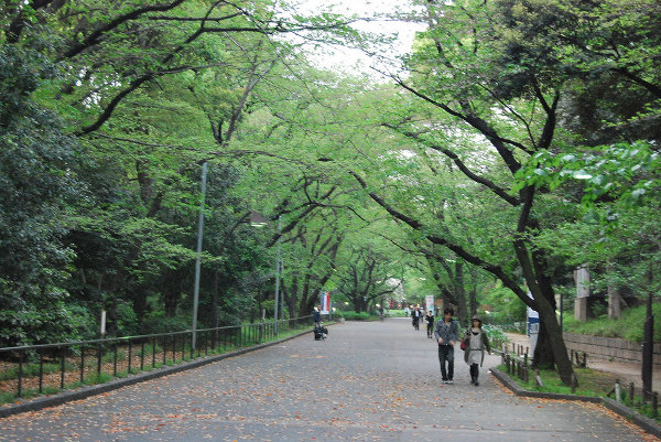 Paseando por el parque Ueno de Tokio