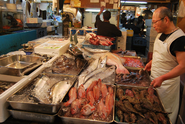 Pescado fresco en Tsukiji