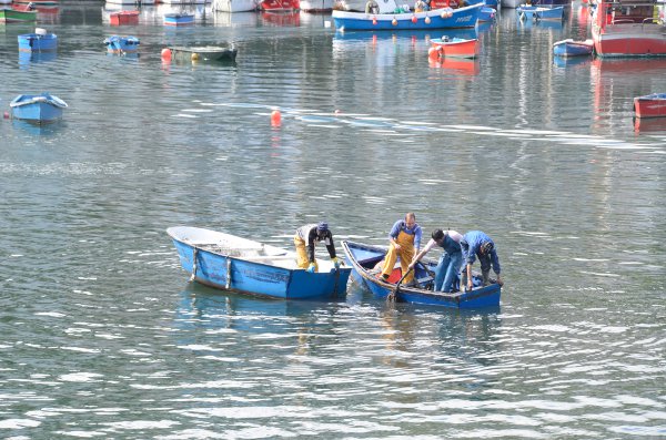 Pescadores en Luarca, Asturias