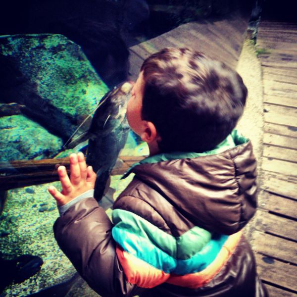 Teo besando a los peces en el Acuario de Gijón