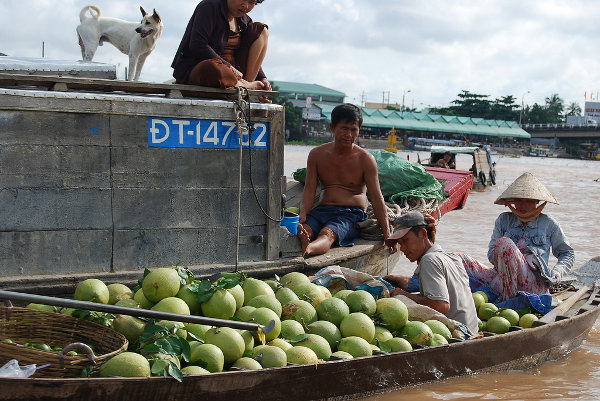 Tienda de melones en el mercado flotante de Cai Rang