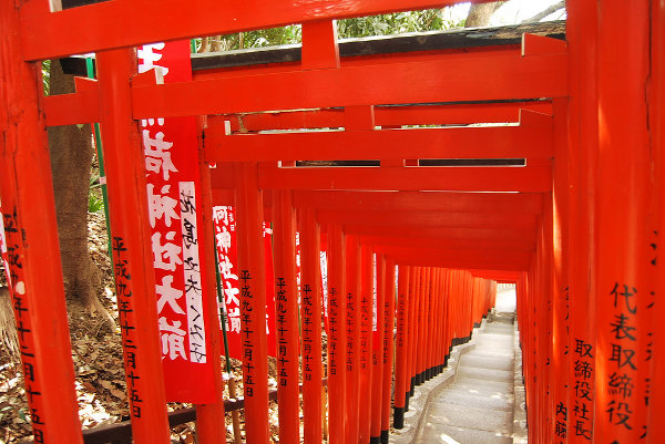 Toriis rojos del Hie Jinja de Tokio