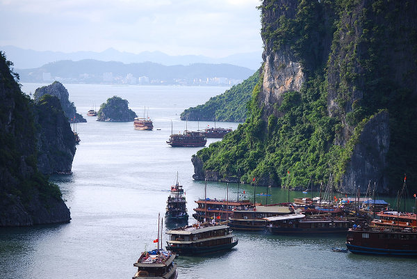 Veleros de juncos atracados sobre la Bahía de Ha Long