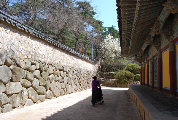 vero y teo paseando por el templo bulguksa de gyeongju