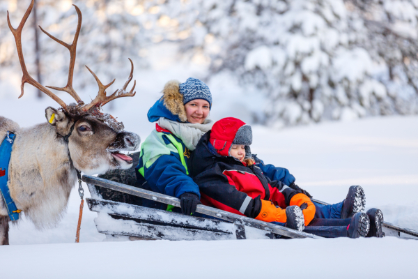 Viaje a Laponia Finlandesa con ninos, trineo con reno